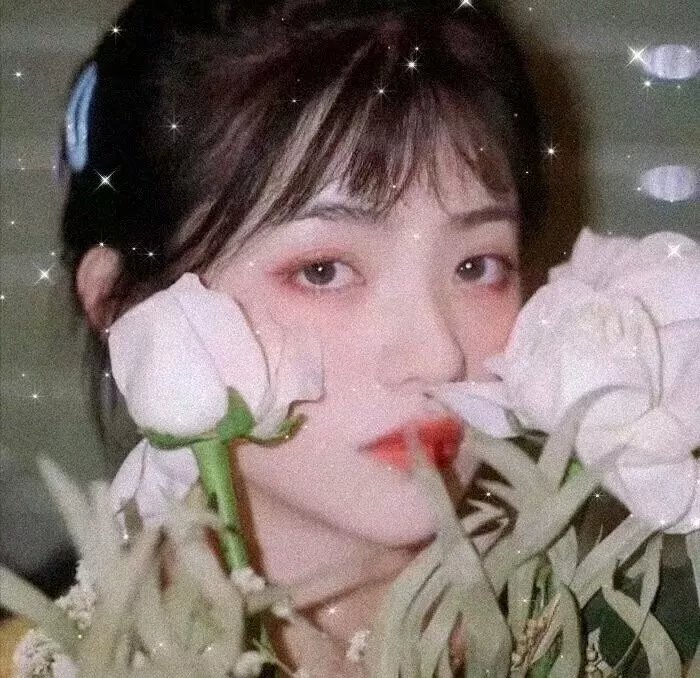 帕姆与汤米