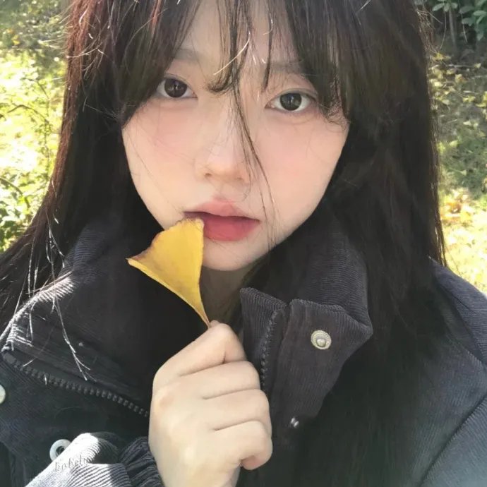 风流总统